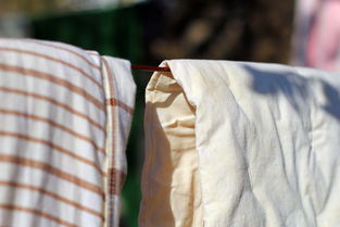 佳能 EF 50mm f/1.8 II 試鏡體驗(yàn)與針織品原料拍攝學(xué)習(xí)